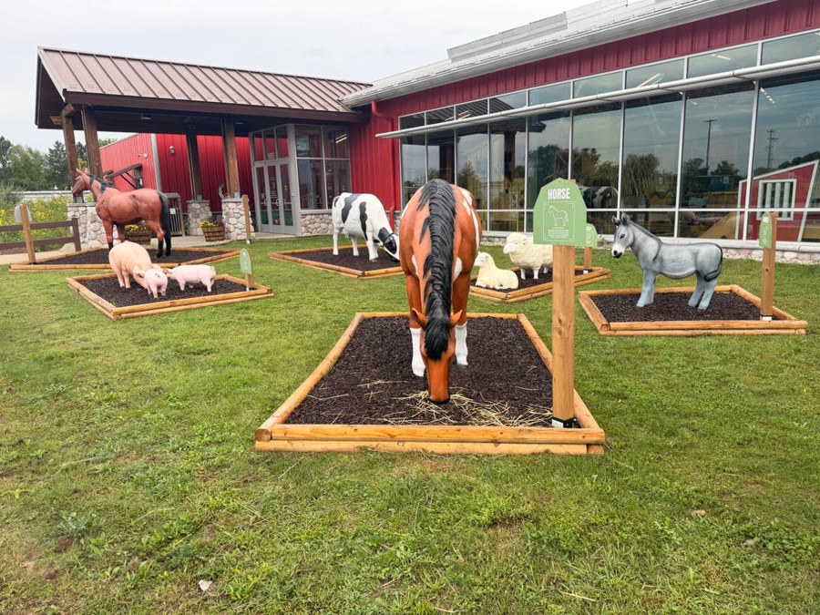 The Front Yard Farm's animal garden beds spread across the museum's front lawn