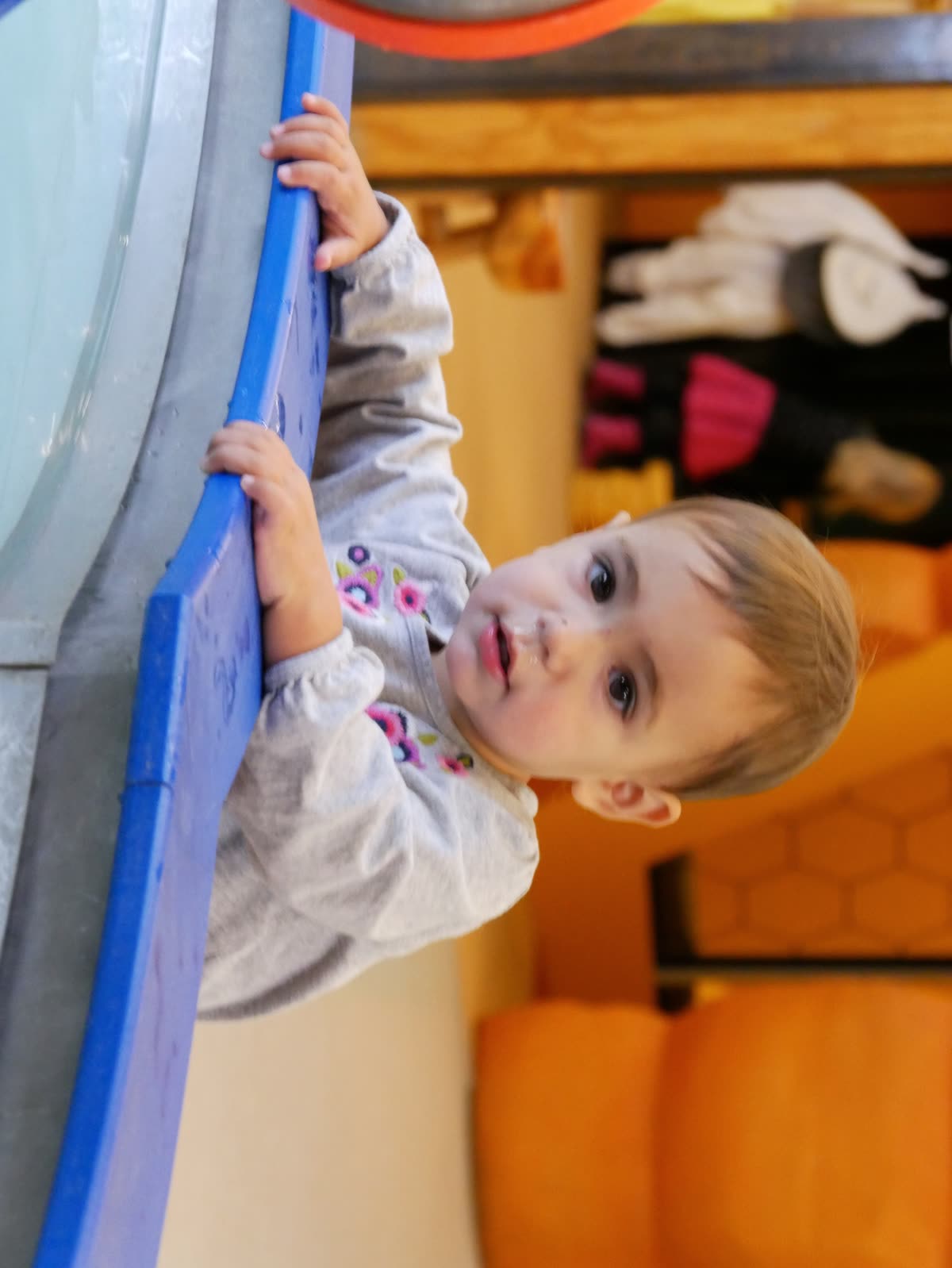 A young climber at Pleasant Park